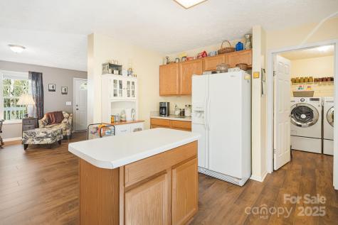 54 Golddigger Drive Candler NC 28715