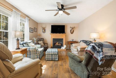 54 Golddigger Drive Candler NC 28715