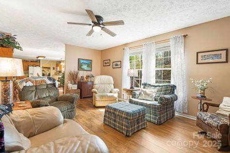 54 Golddigger Drive Candler NC 28715