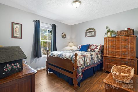 54 Golddigger Drive Candler NC 28715