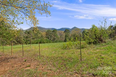 54 Golddigger Drive Candler NC 28715