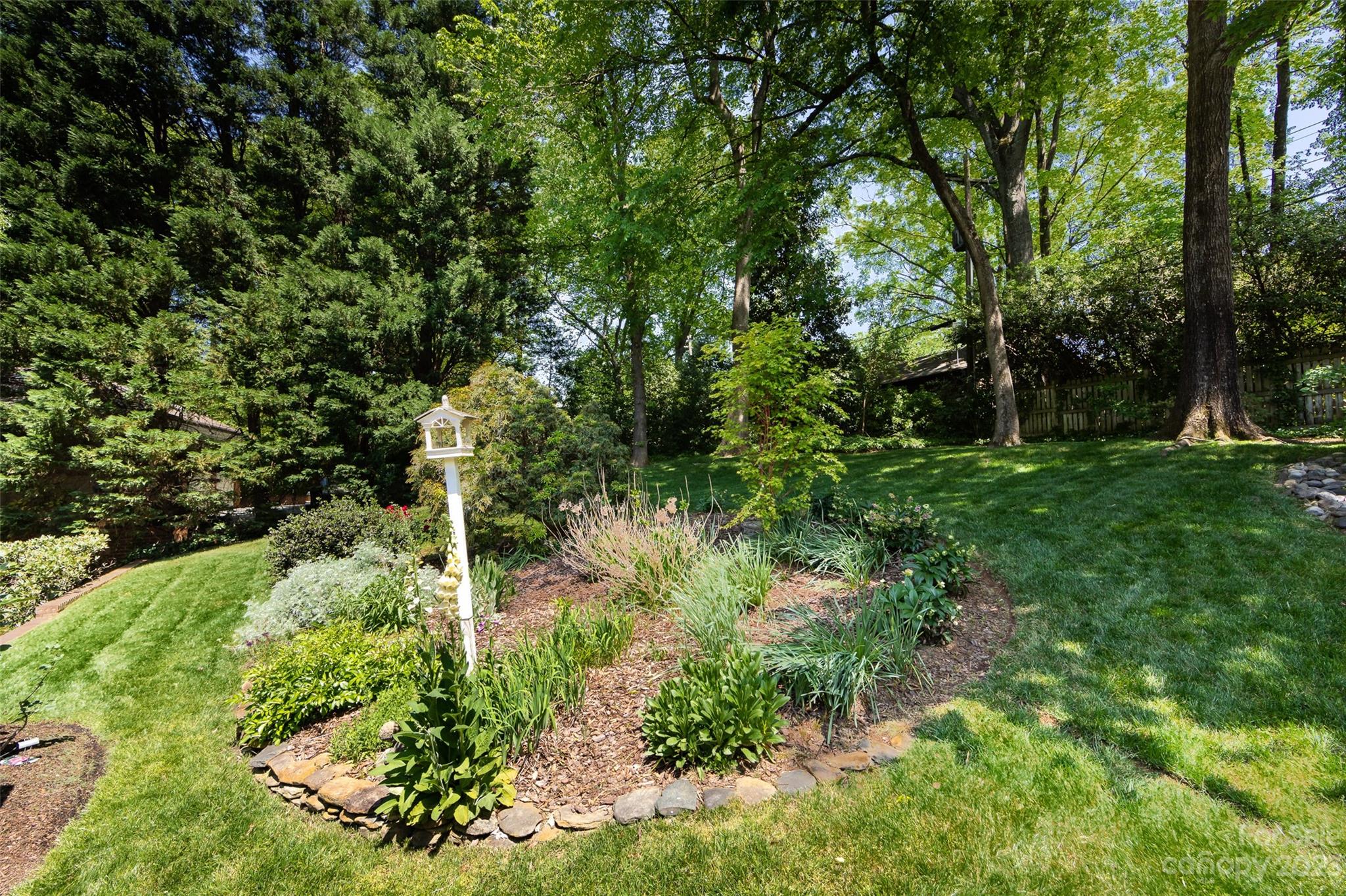 1301 Scotland Avenue Charlotte NC 28207