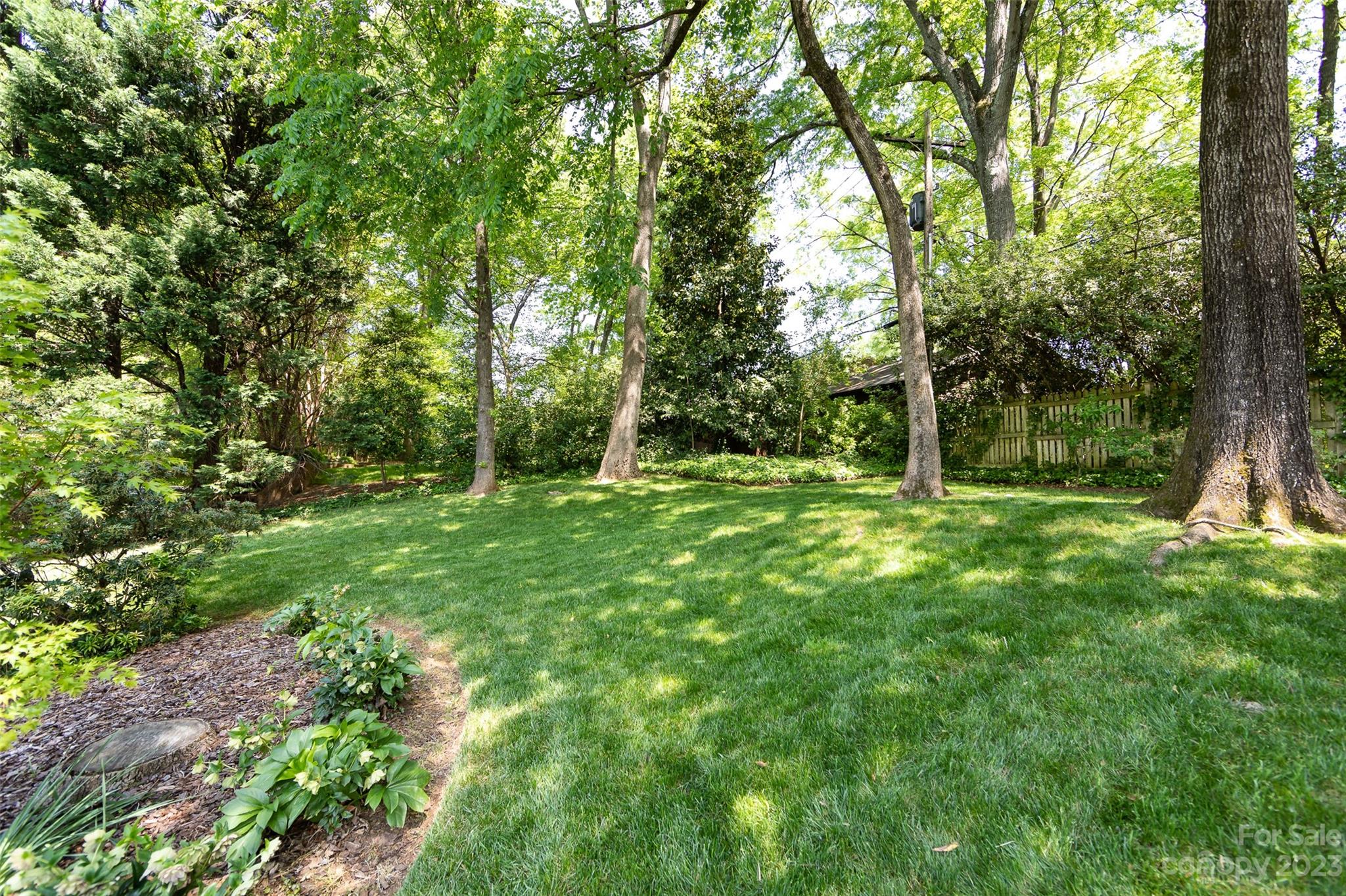 1301 Scotland Avenue Charlotte NC 28207