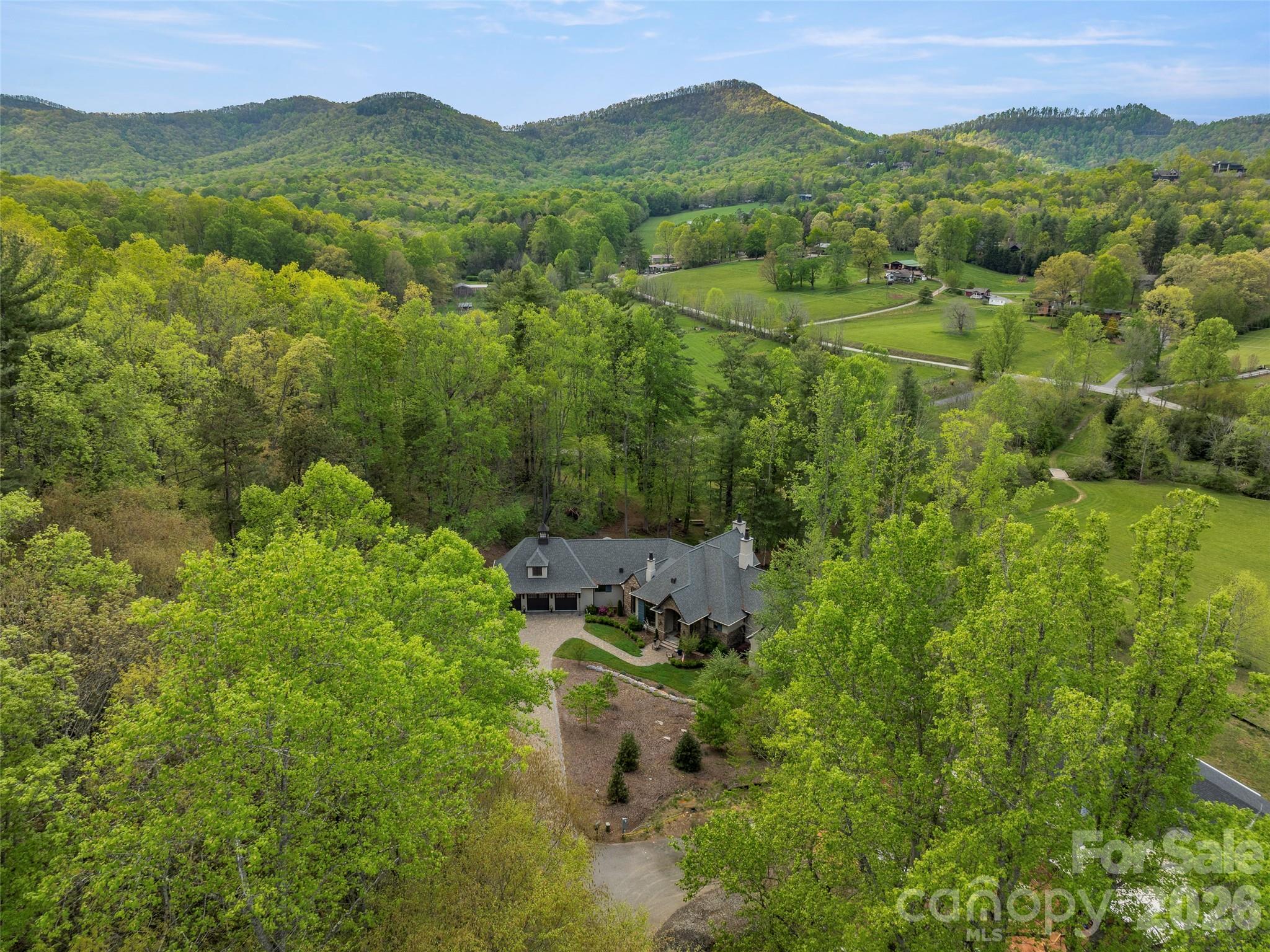 41 Bear Flower Trail Arden NC 28704