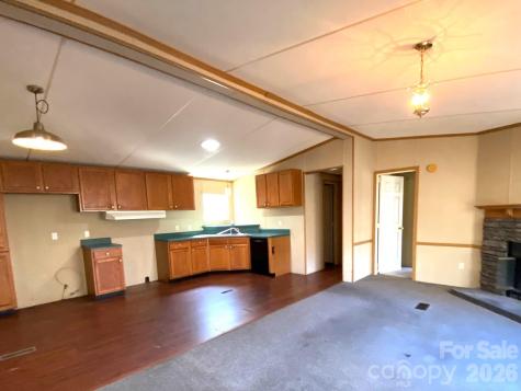 16 Molly Lane Candler NC 28715