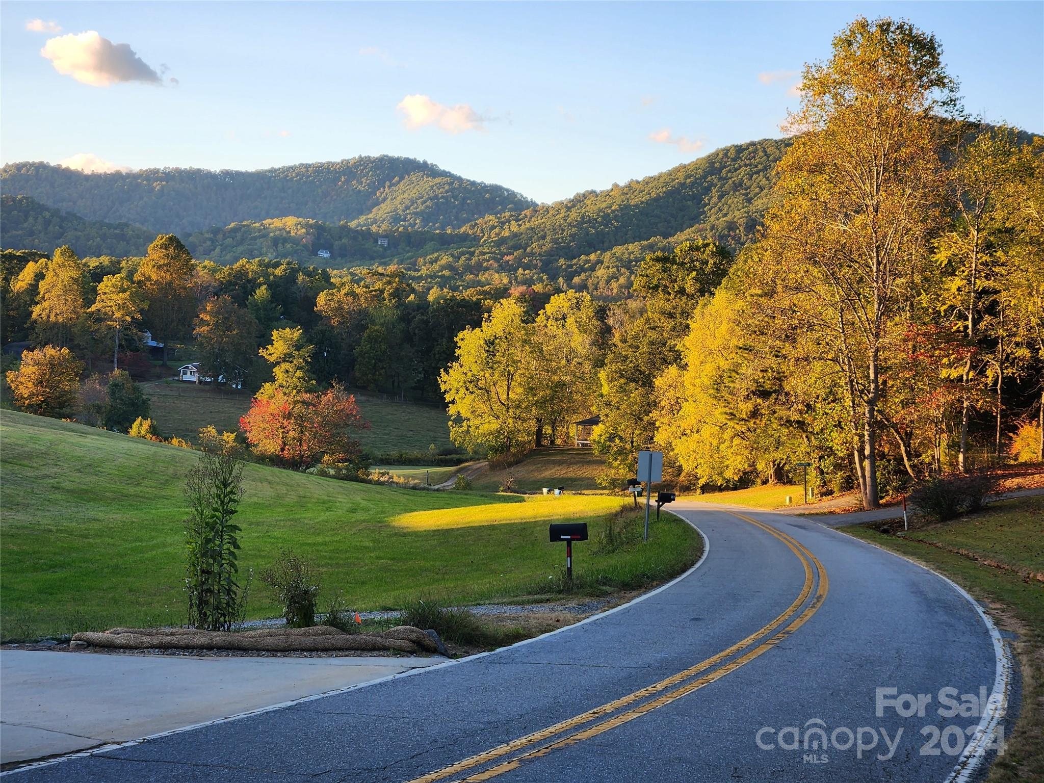 40 Pete Luther Road Candler NC 28715
