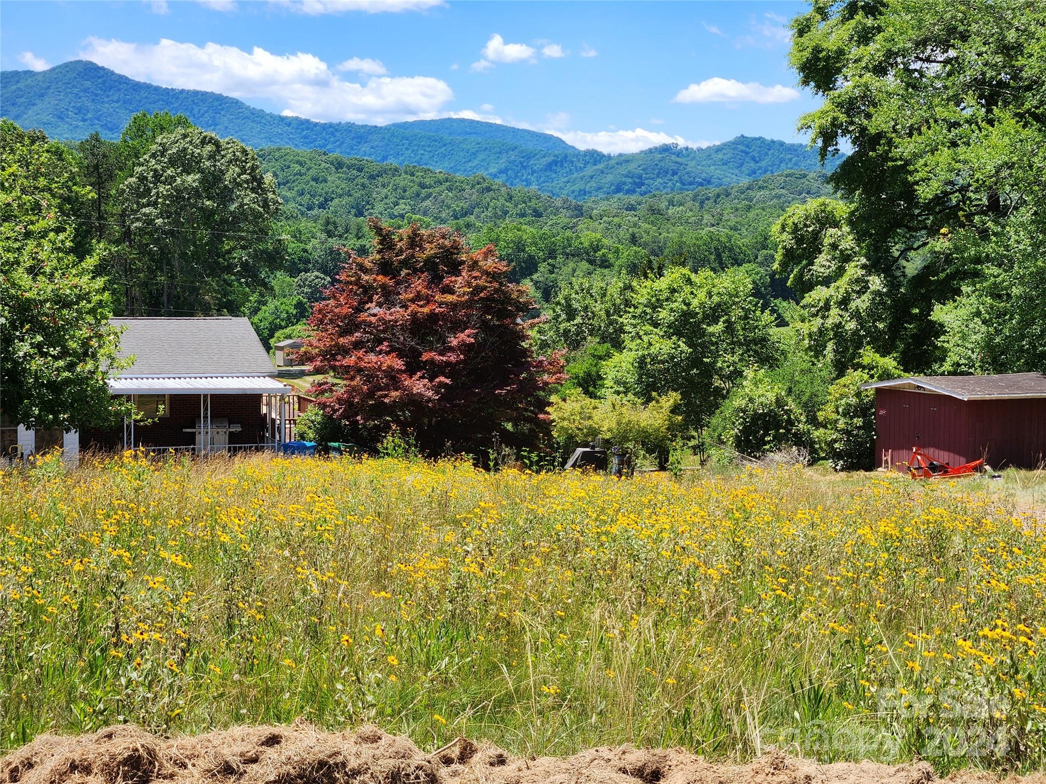 40 Pete Luther Road Candler NC 28715