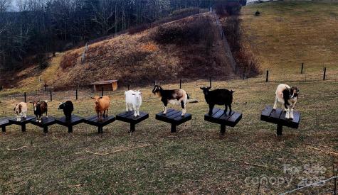 244 Westridge Farm Road Asheville NC 28804