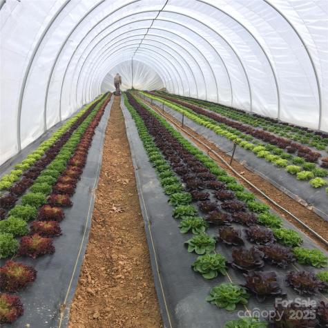 244 Westridge Farm Road Asheville NC 28804