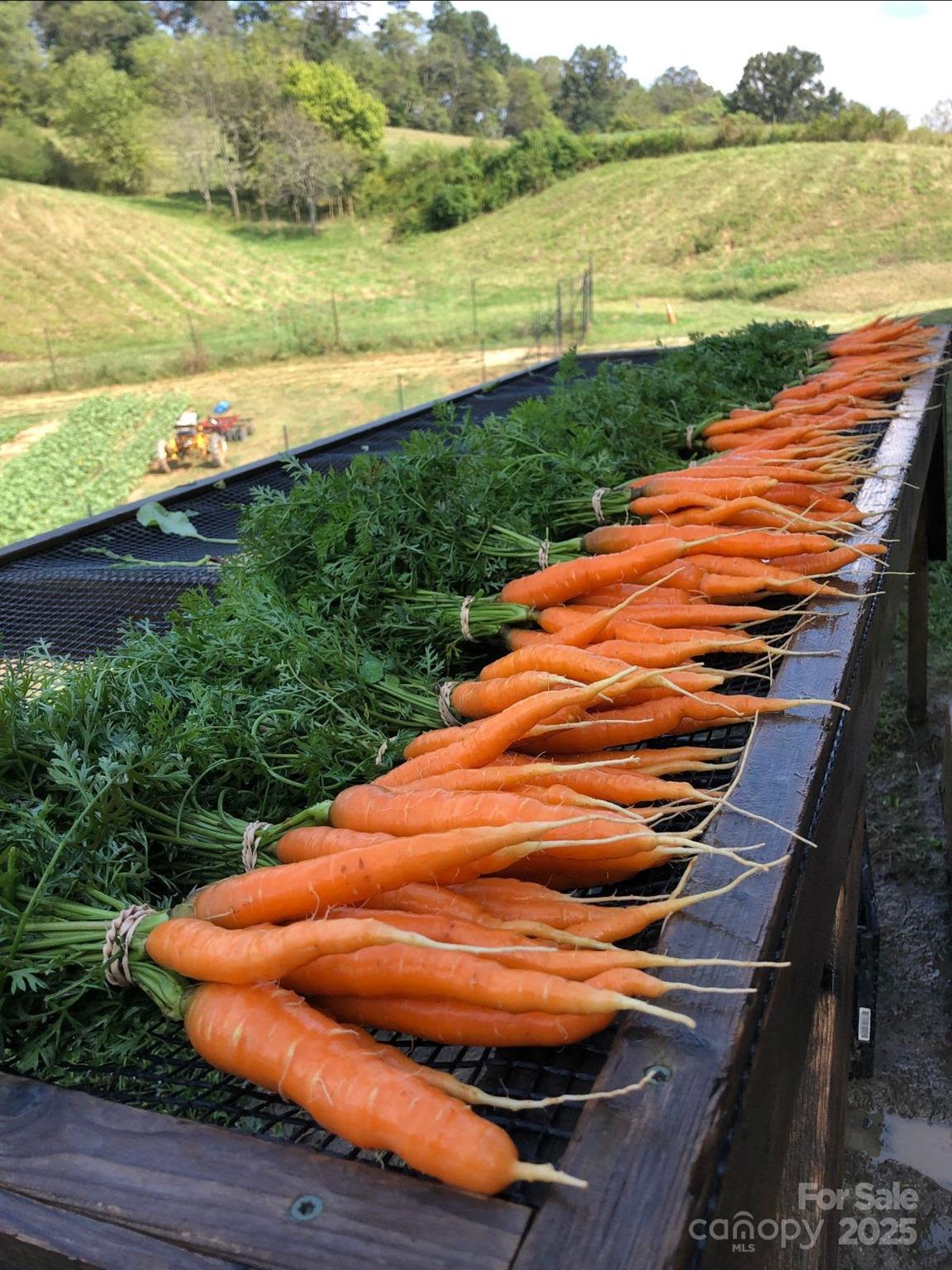 244 Westridge Farm Road Asheville NC 28804