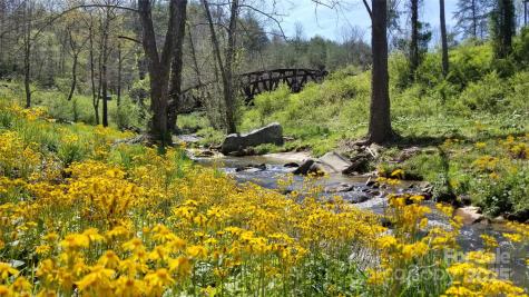 244 Westridge Farm Road Asheville NC 28804