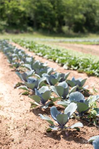 244 Westridge Farm Road Asheville NC 28804