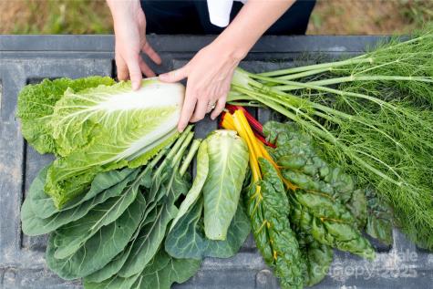 244 Westridge Farm Road Asheville NC 28804