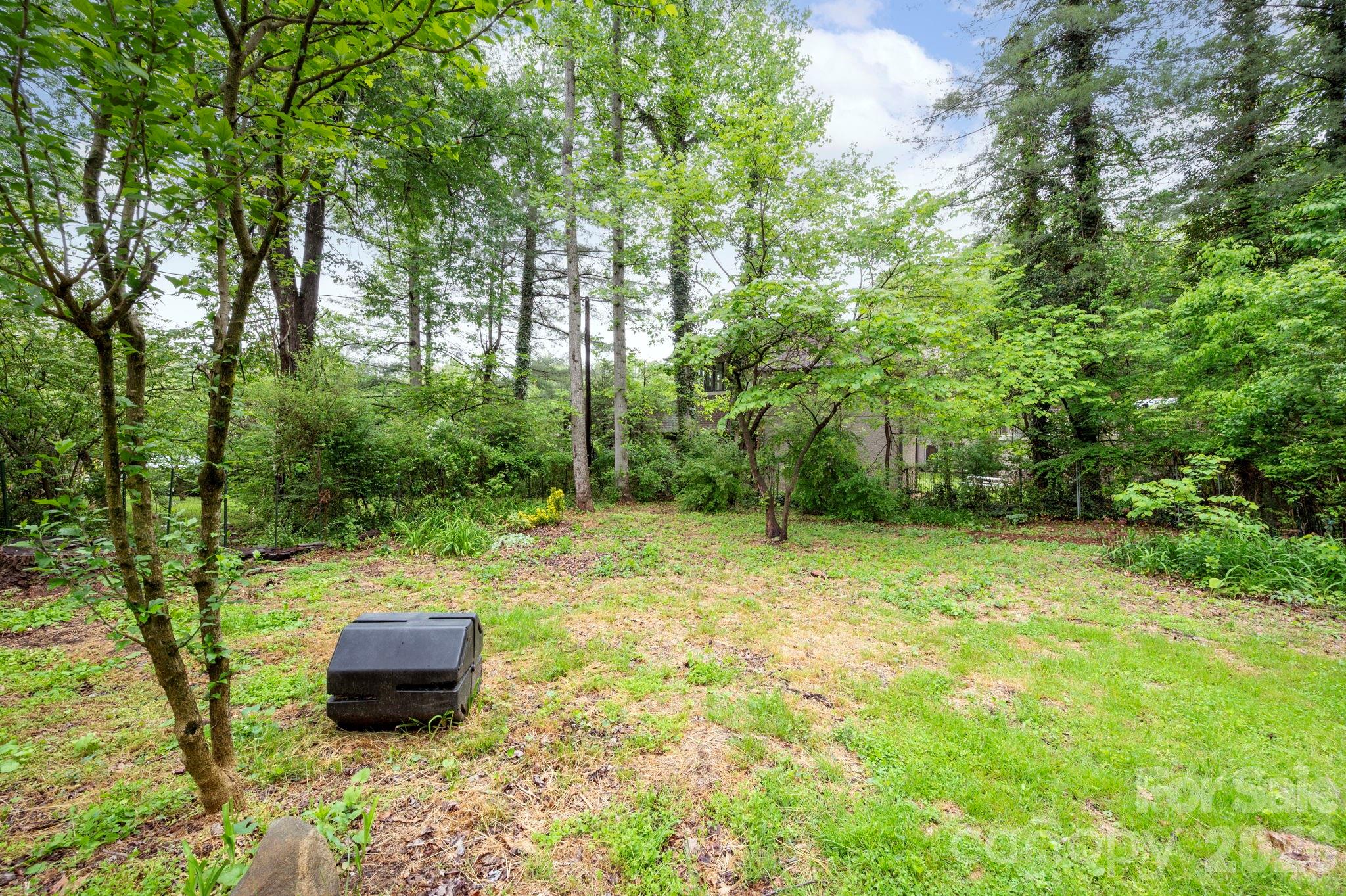 9 Nantahala Street Asheville NC 28801