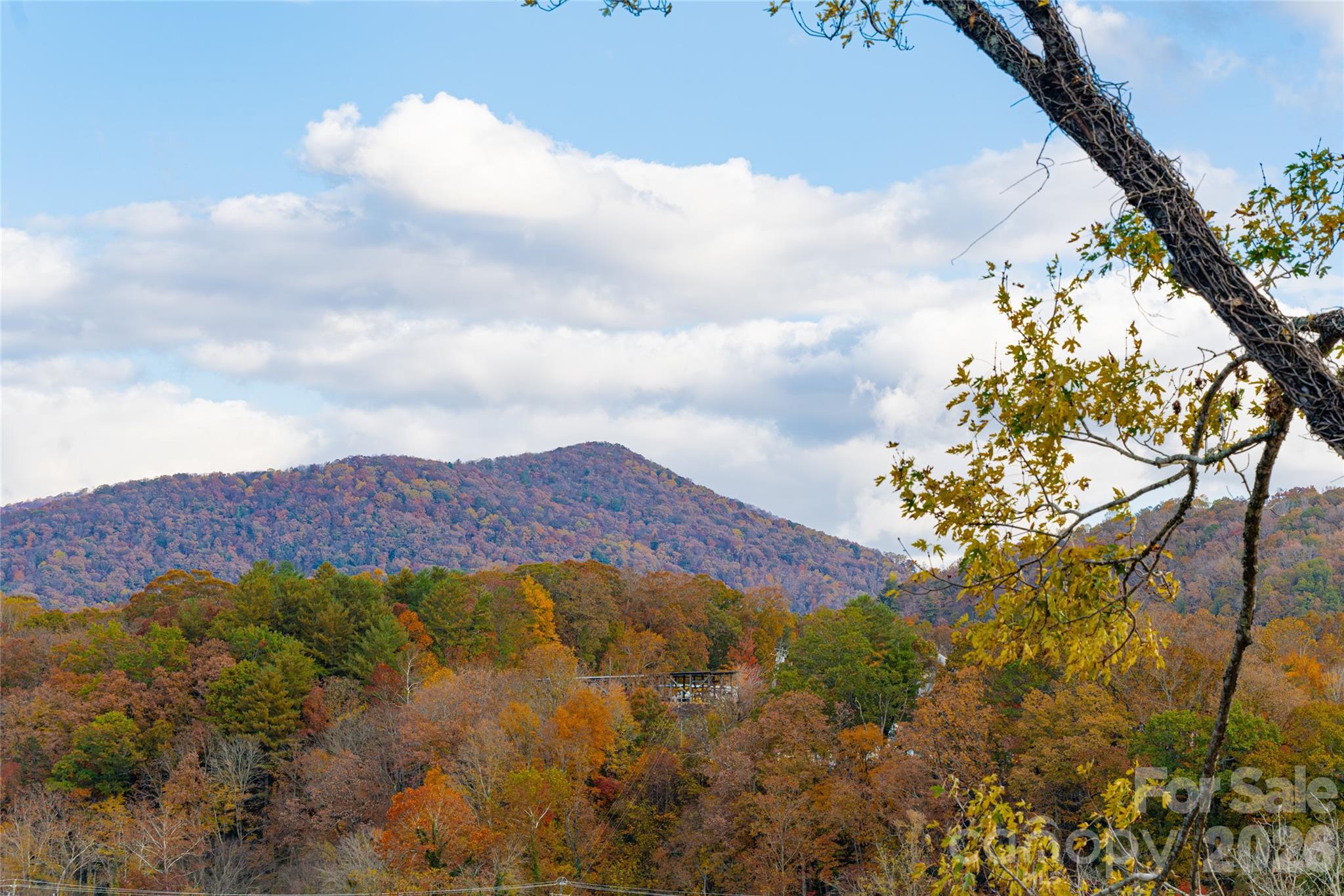 249 Fairway Drive Asheville NC 28805