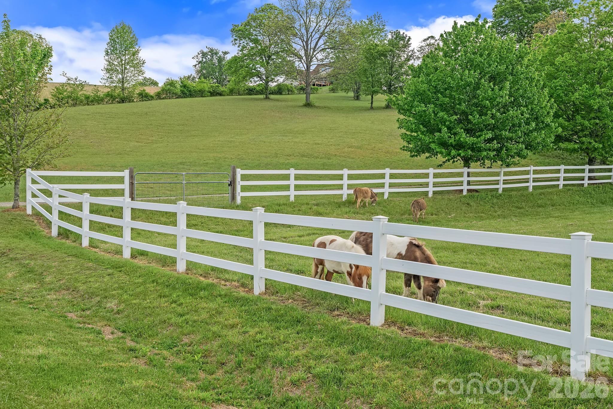9 Whispering Meadows Drive Fairview NC 28730