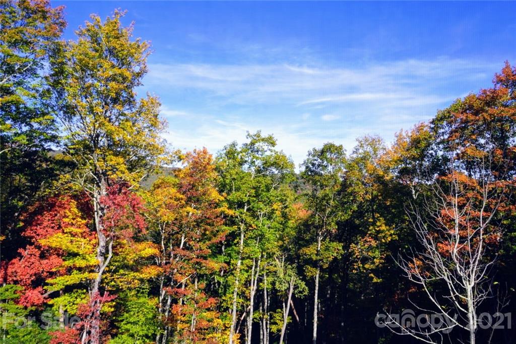 174 Grouse Ridge Road Sapphire NC 28774