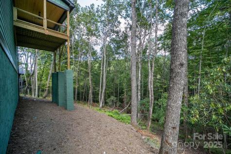 86 Isuhdavga Court Brevard NC 28712