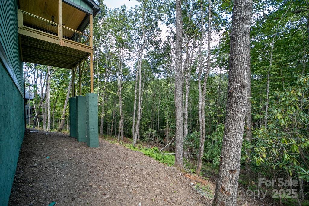 86 Isuhdavga Court Brevard NC 28712
