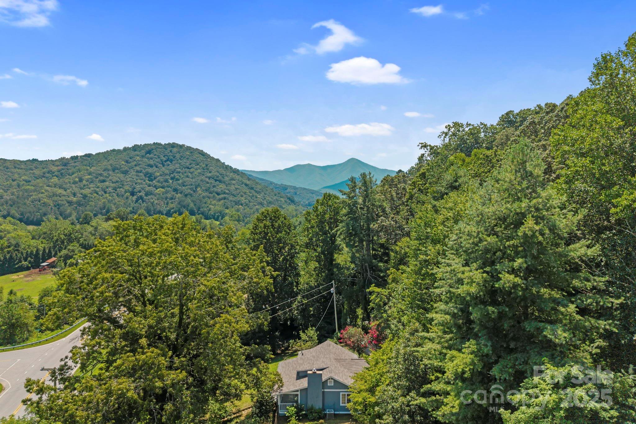 1540 Pisgah Highway Candler NC 28715