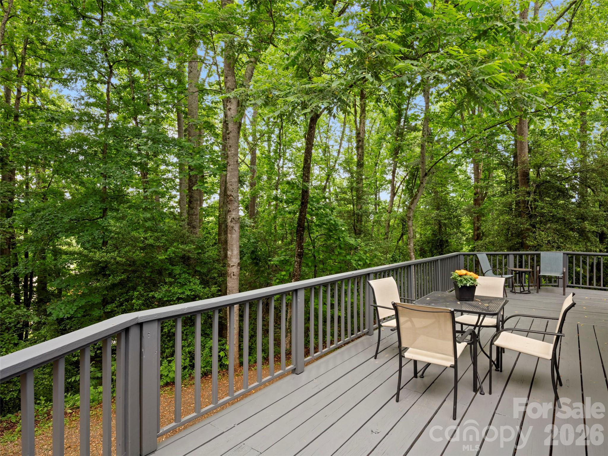 1 Glen Meadows Place Arden NC 28704