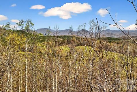 398 Waterfall Drive Marion NC 28752