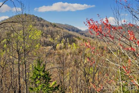 398 Waterfall Drive Marion NC 28752