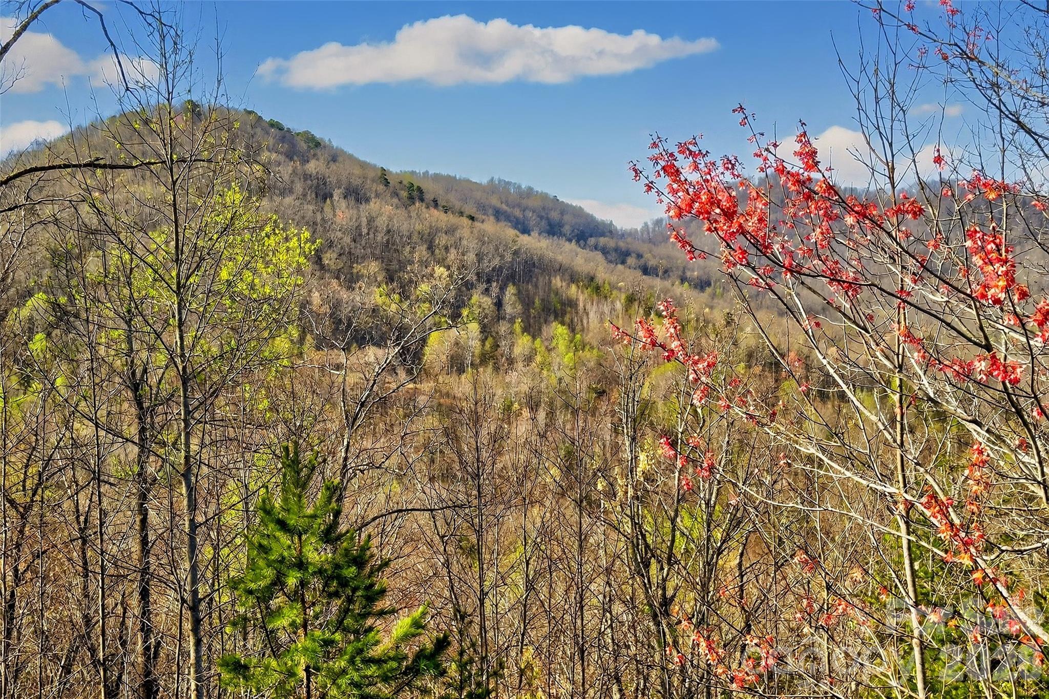 398 Waterfall Drive Marion NC 28752