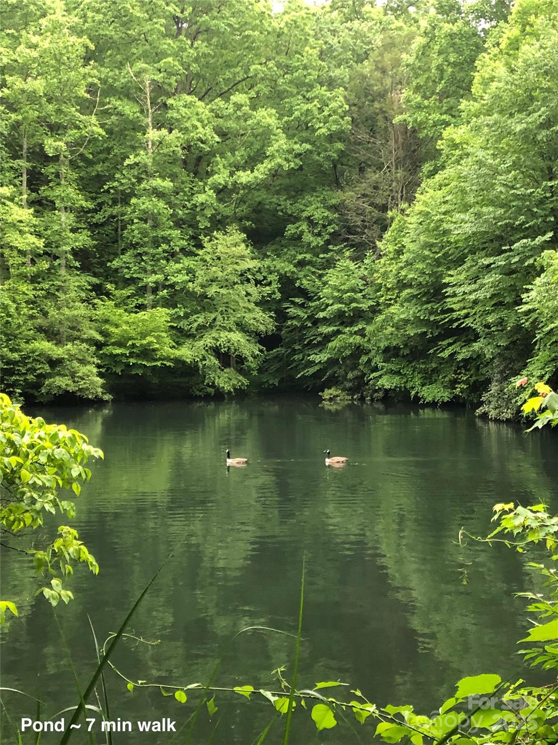 126 And 111 Visionview Way Black Mountain NC 28711