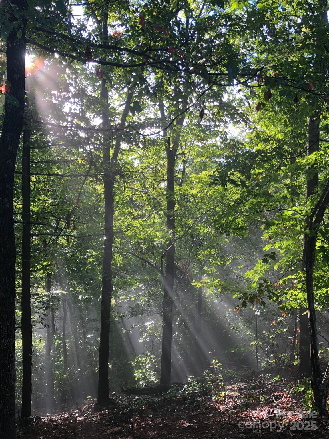 126 And 111 Visionview Way Black Mountain NC 28711