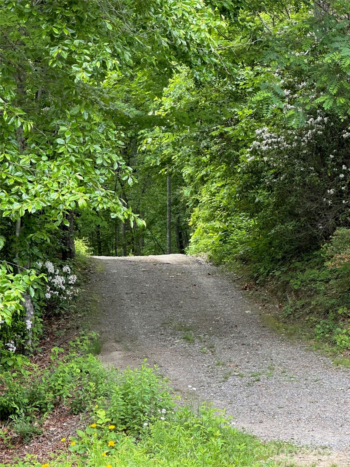 126 And 111 Visionview Way Black Mountain NC 28711