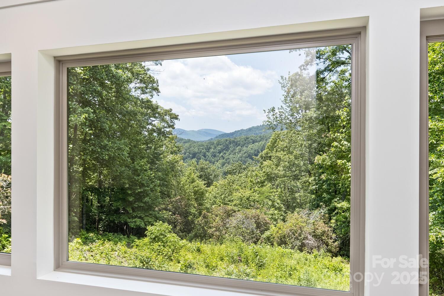 126 And 111 Visionview Way Black Mountain NC 28711