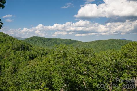 162 Merrills Chase Road Asheville NC 28803