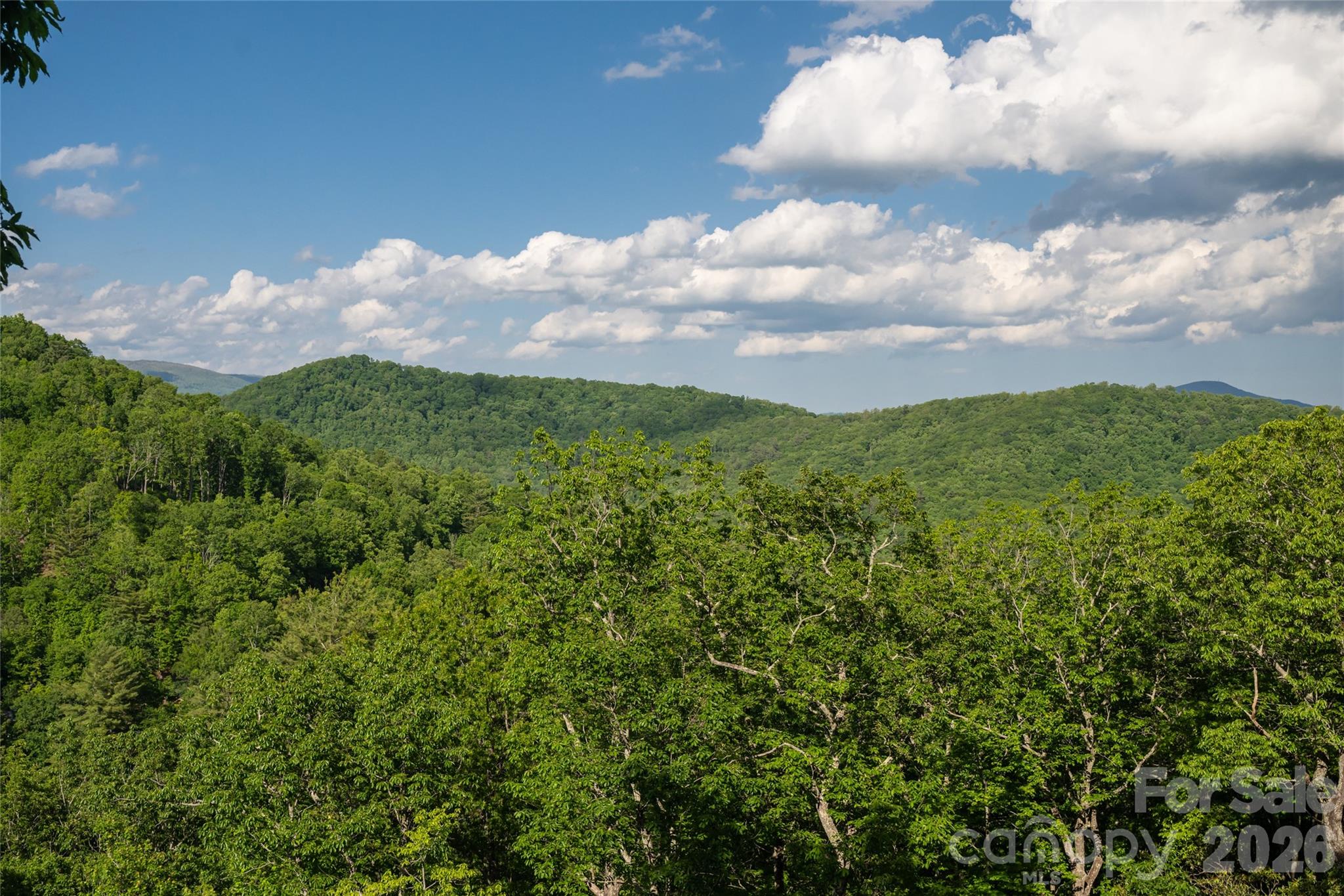162 Merrills Chase Road Asheville NC 28803