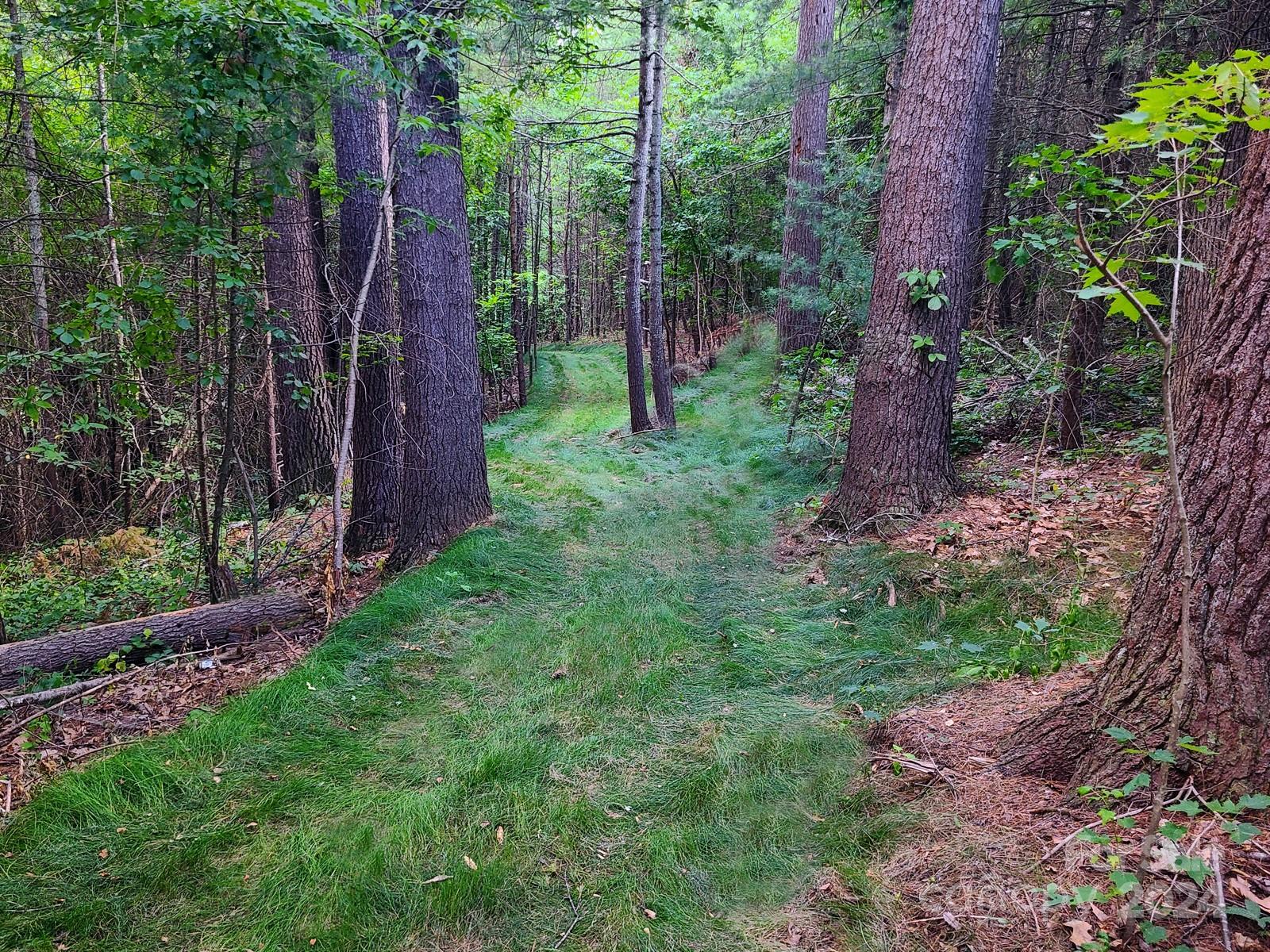 20 Dara Lane Weaverville NC 28787