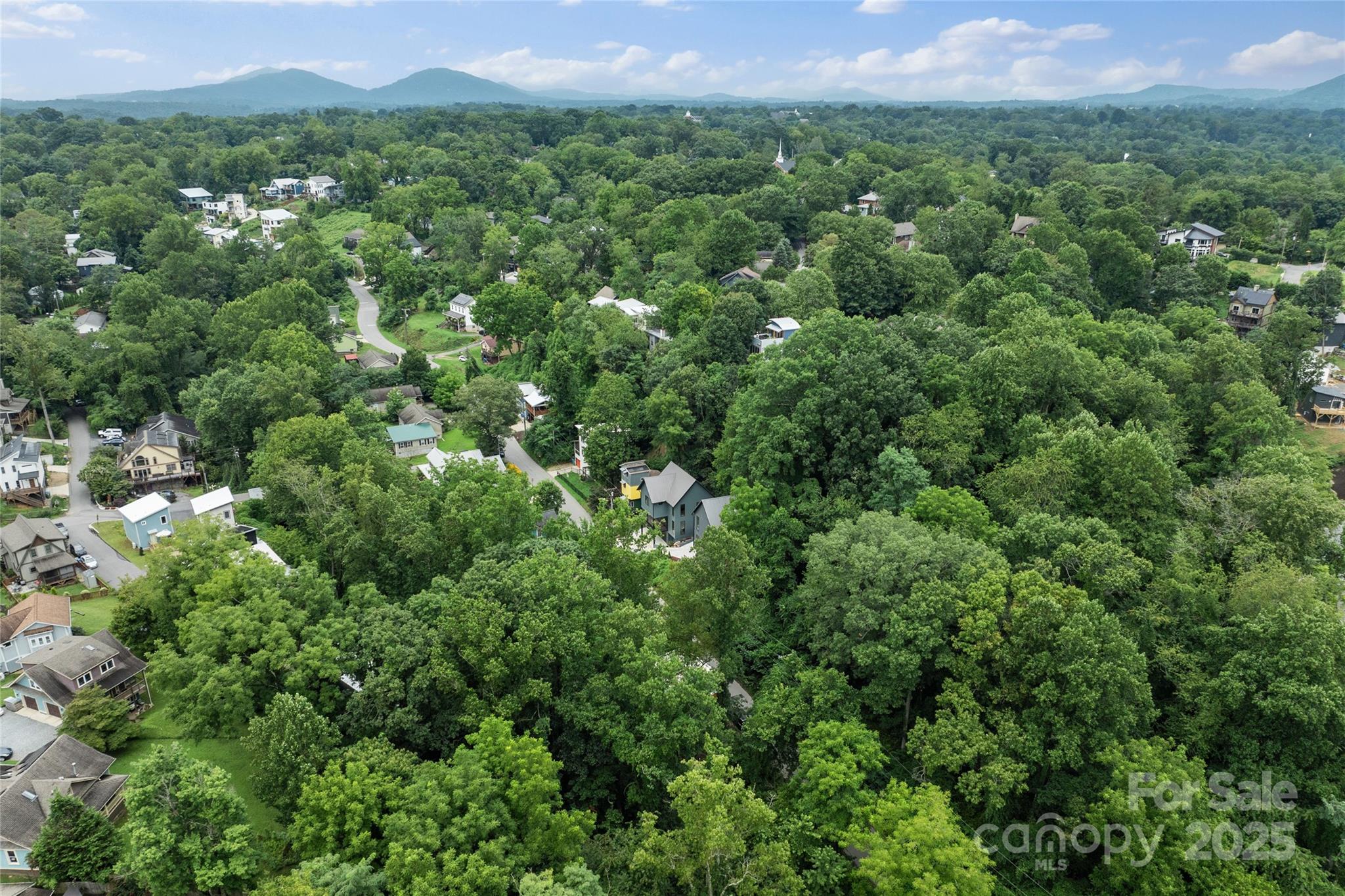 45 Waynesville Avenue Asheville NC 28806