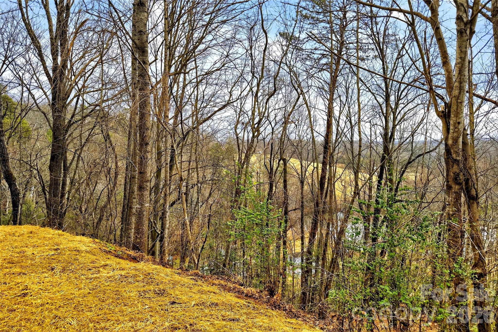 88 Windy Hill Drive Old Fort NC 28762