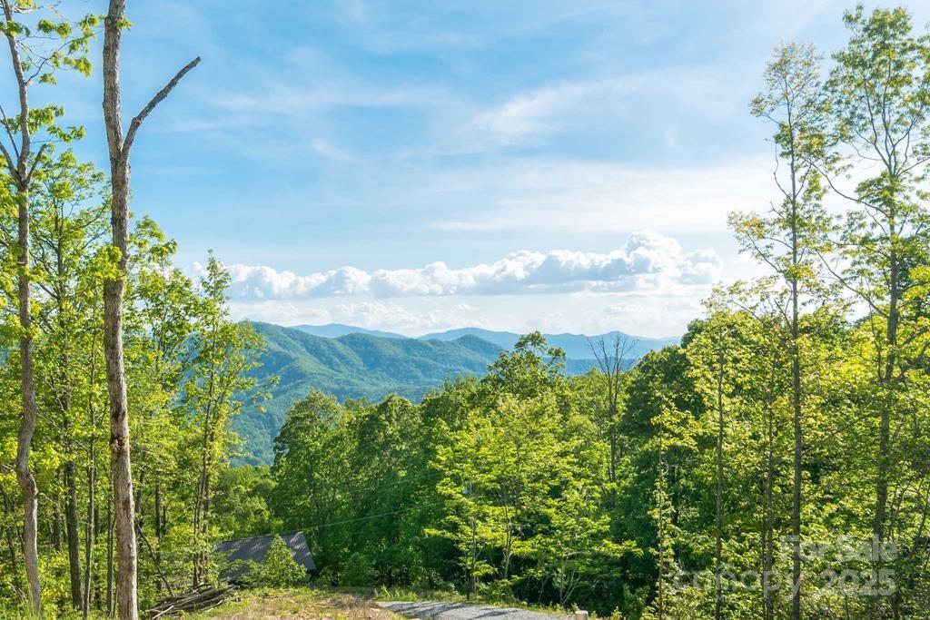 242 Crossview Drive Bryson City NC 28713