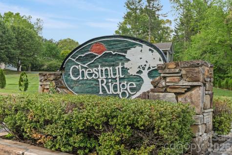 112 Chestnut Lane Hendersonville NC 28792