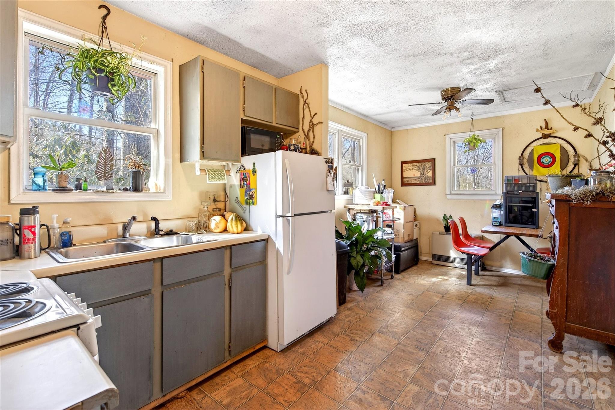 951,953,955,959 Nc 9 Highway Black Mountain NC 28711