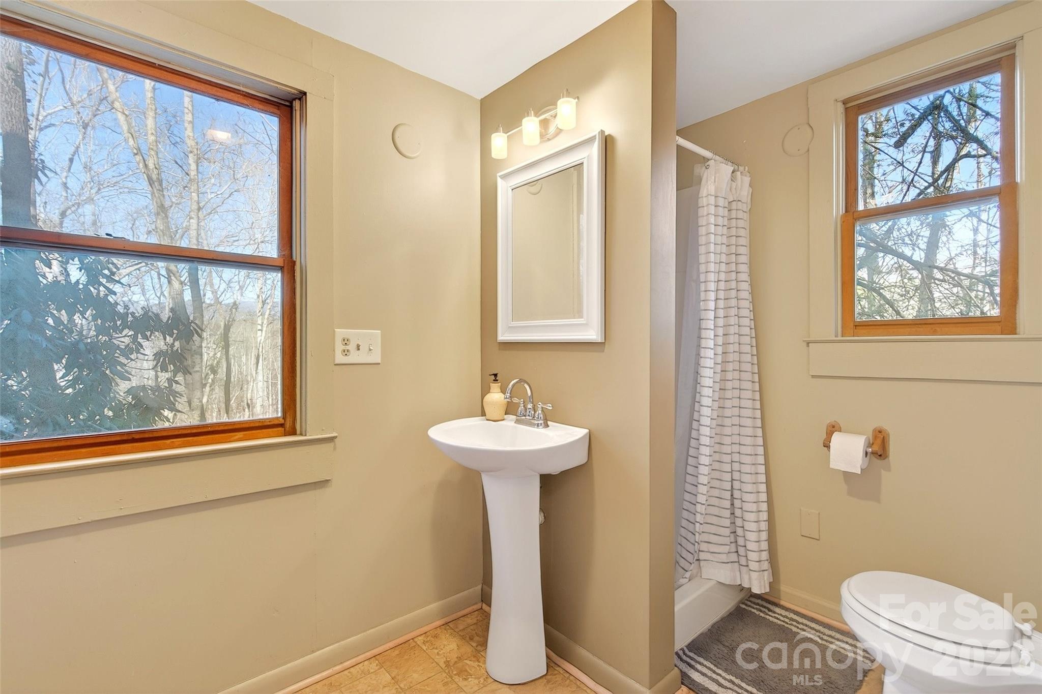 951,953,955,959 Nc 9 Highway Black Mountain NC 28711