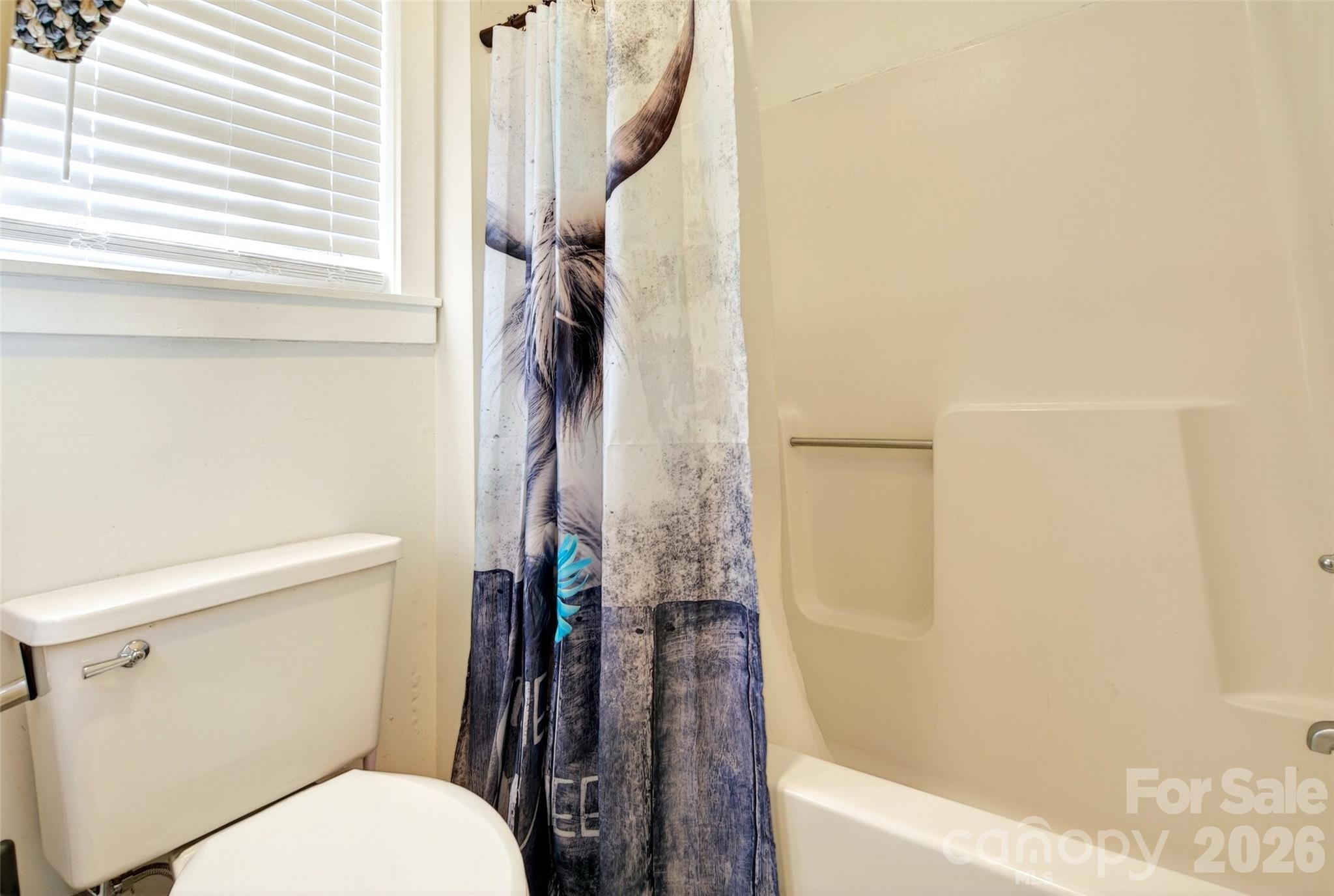 951,953,955,959 Nc 9 Highway Black Mountain NC 28711