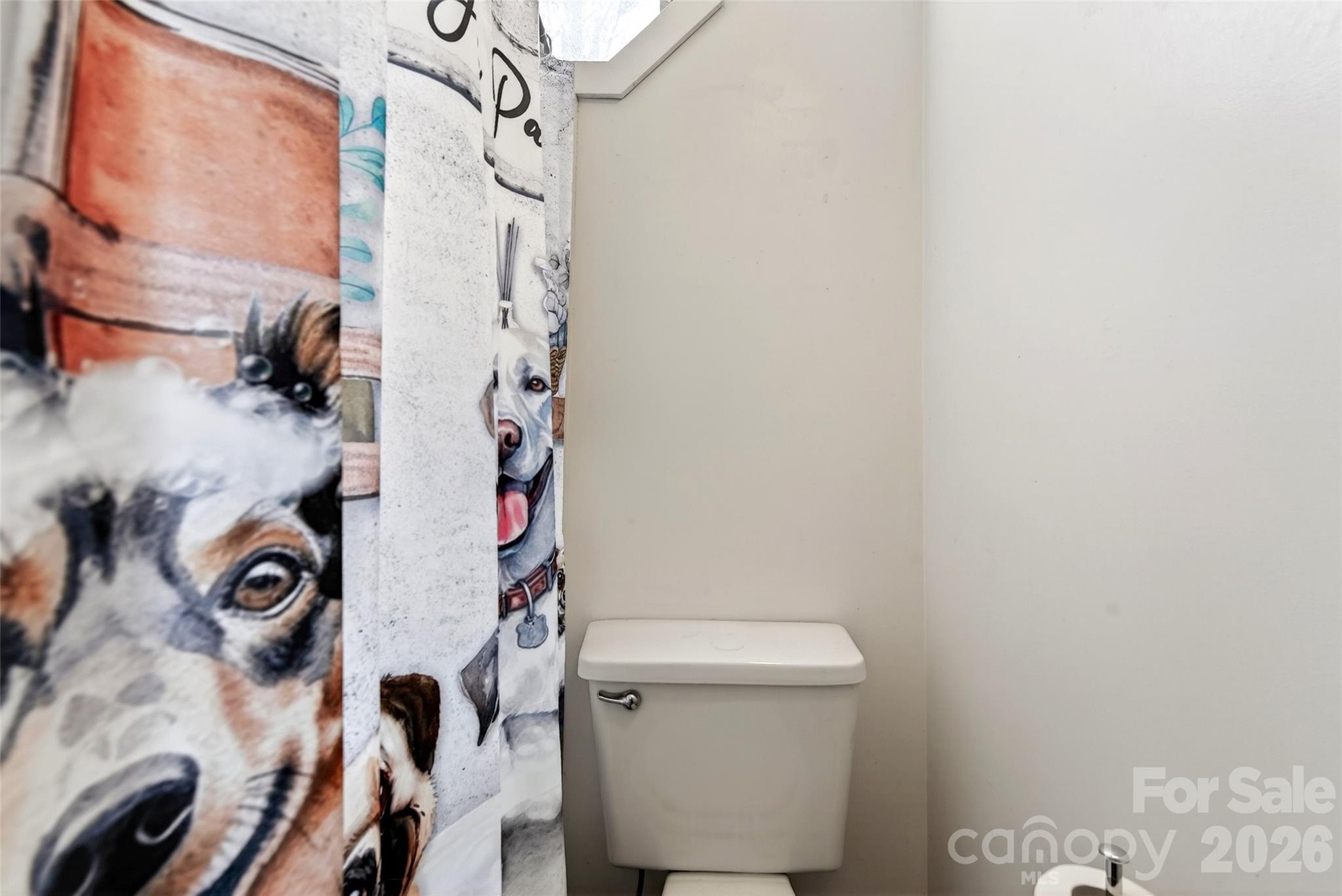 951,953,955,959 Nc 9 Highway Black Mountain NC 28711