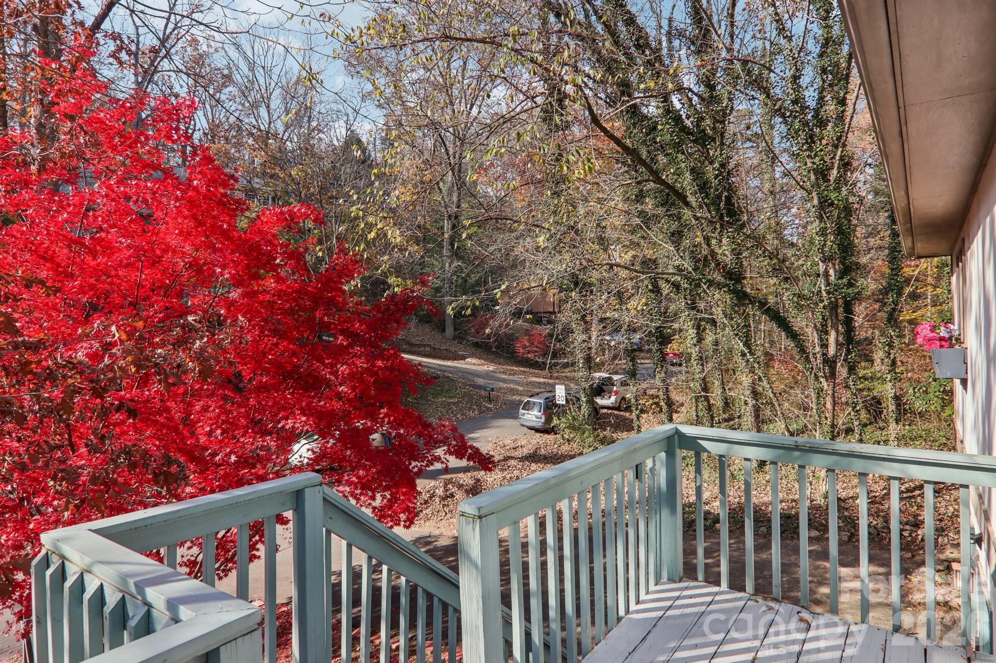 224 Beverly Road Asheville NC 28805