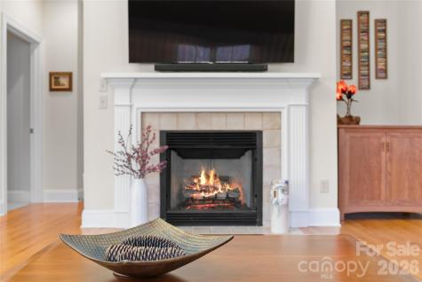 2 Meadow Vista Court Asheville NC 28803