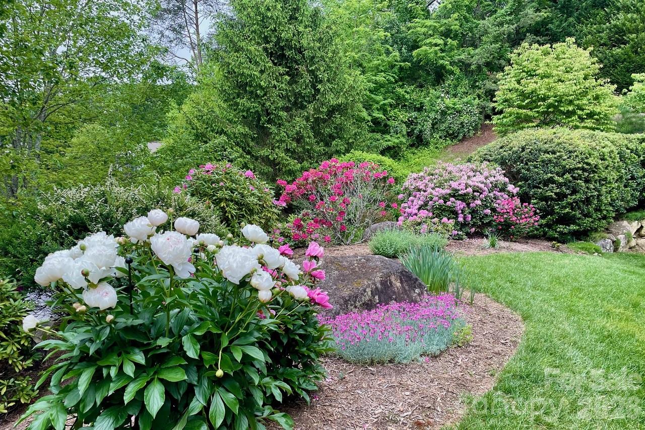 2 Meadow Vista Court Asheville NC 28803