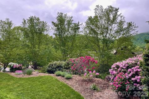 2 Meadow Vista Court Asheville NC 28803