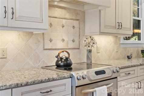 2 Meadow Vista Court Asheville NC 28803