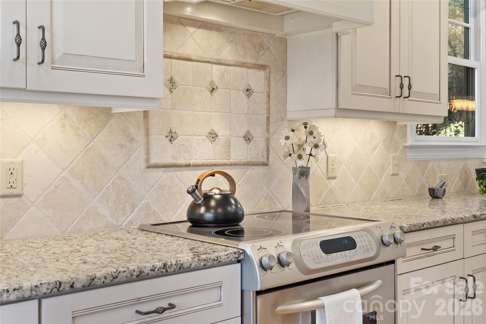 2 Meadow Vista Court Asheville NC 28803