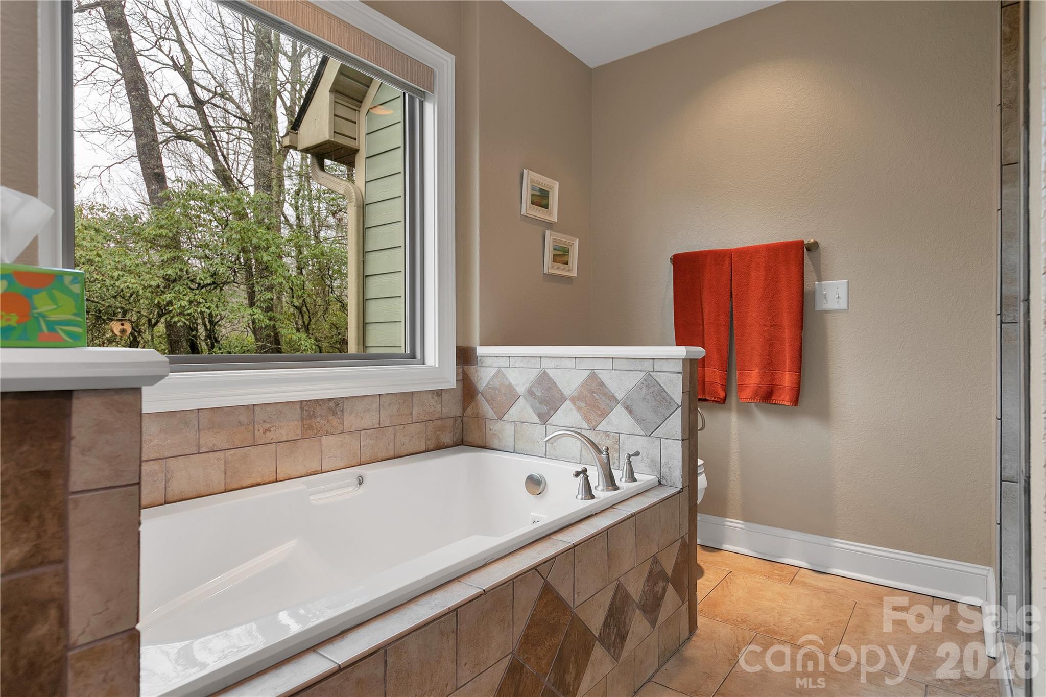 123 Isuhdavga Court Brevard NC 28712